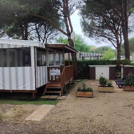 Hotel Au Bonheur Des Landes Gastes Exteriér fotografie